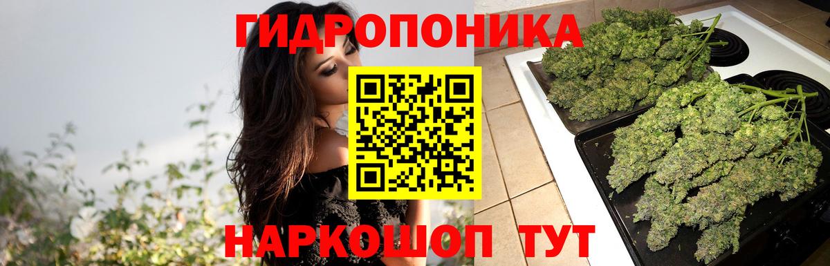 Бошки марихуана марихуана  Бошки марихуана White Widow  Вход с VPN  Чехов  МАРИХУАНА OG Kush 